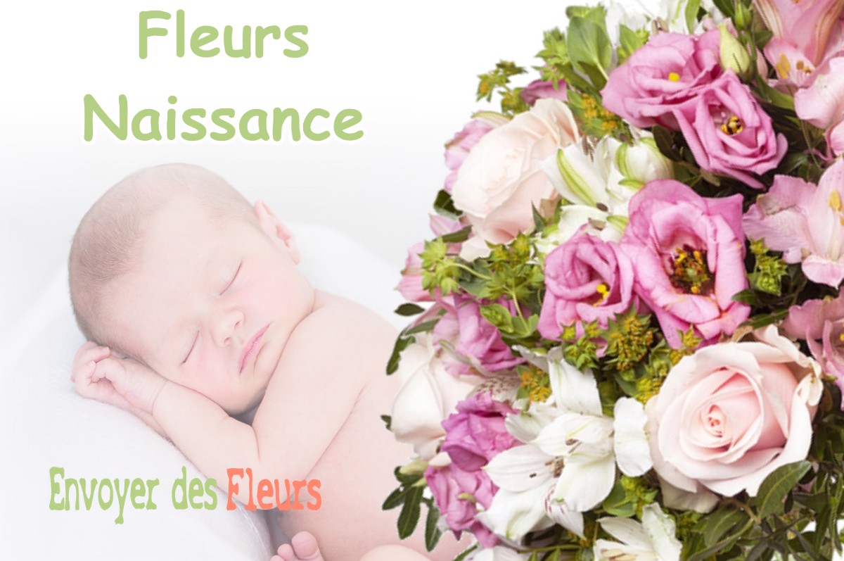 lIVRAISON FLEURS NAISSANCE à LADOYE-SUR-SEILLE