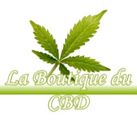 LA BOUTIQUE DU CBD LADOYE-SUR-SEILLE 